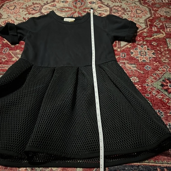 Sea New York Pleated Mesh Dress - Picture 8 of 8